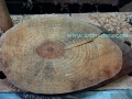 Madera de alcornooque