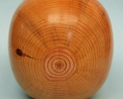 Madera Pino Piñonero