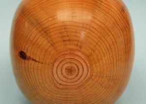 Madera Pino Piñonero